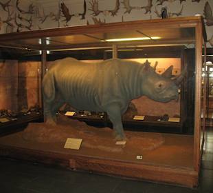 Naturhistorisches Museum