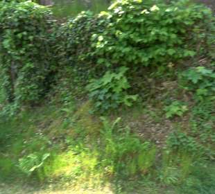 Antoniuskapelle Bad Griesbach