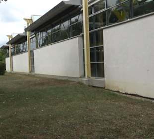 Peter-Creuzberger-Halle