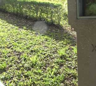 Kreuzweg Mariazell Boll