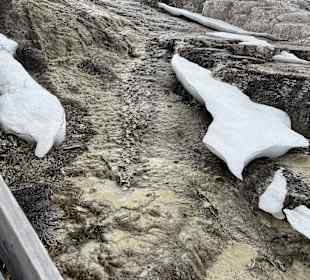 Yellowstone Nationalpark