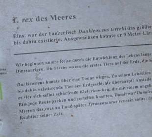 Dinosaurier Museum Altmühltal