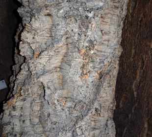 Korkverarbeitung im Museo Etnografico