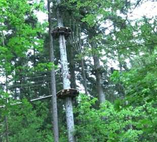 Hochseilgarten Hallwangen