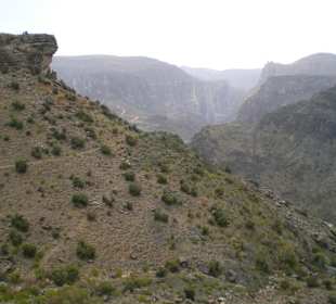 Jebel Akhdar