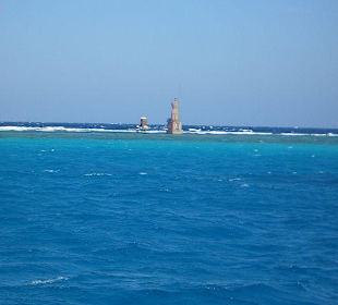 Delfinfahrt mit SimSim