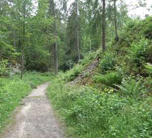 Schutzgebiet Spitzberg, Pfaffenberg