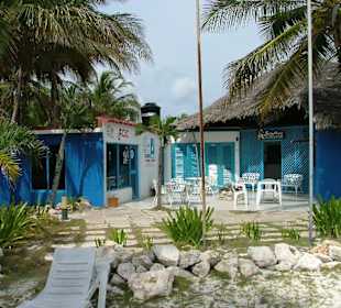 Tauchbasis Sharks Friends