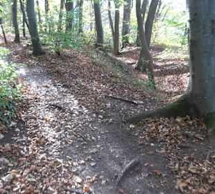 Höllenlöcher Hohenneuffen