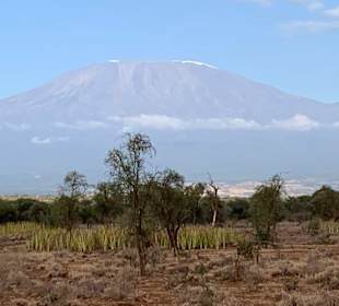 Der Kilimajaro mal ohne Wolken
