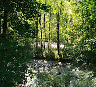 Thurweg: Ein bisschen Tortur, ganz viel Natur
