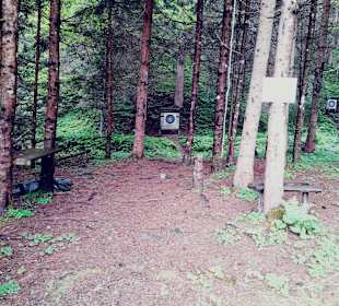 Wandern Donnersbachwald