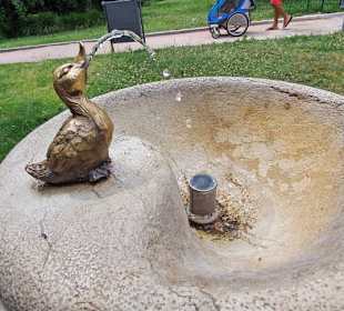 Wasserspender mit Entchen