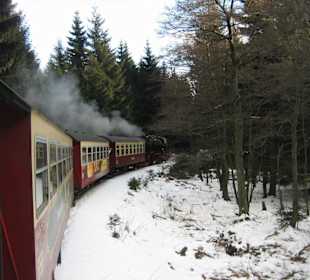 Rückfahrt mit der Schmalspurbahn