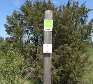 Premiumwanderweg Hochgehschätzt