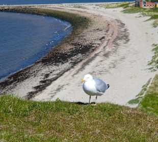 Helgoland