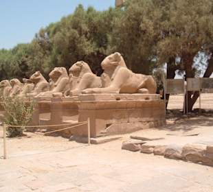 Ausgang Luxor Tempel