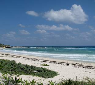 Am Strand kann man Schildkrötennester sehen