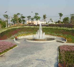 Springbrunnen, Blumen und schöne Wege