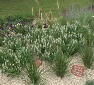 Blühendes Neresheim