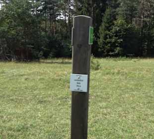 Sternberg