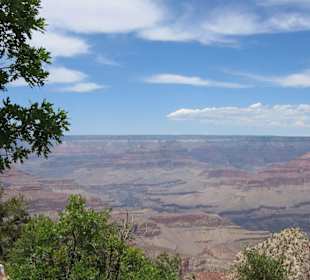 Grand Canyon N.P.