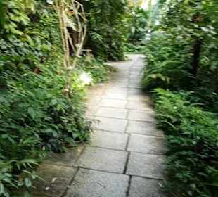 Botanischer Garten