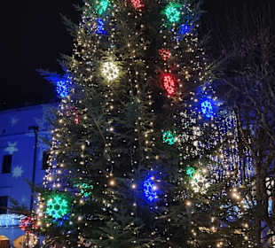 Weihnachtsbaum Schloss Stettin 