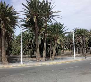 Stadtrundgang Maspalomas