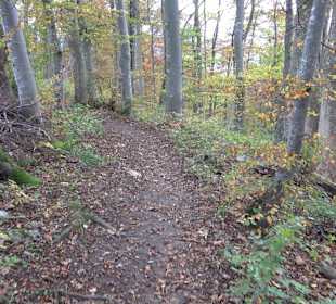 Wandern Rauberweide