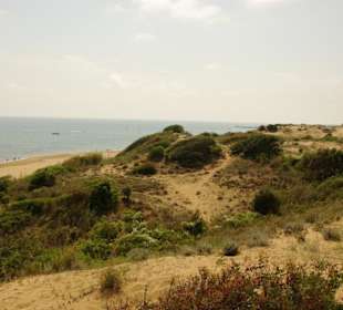 Gündogdu auf den Dünen oben