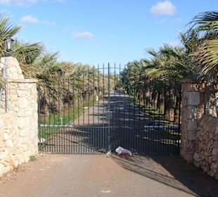Finca an der Strecke