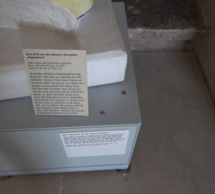 Museum Alte Kulturen