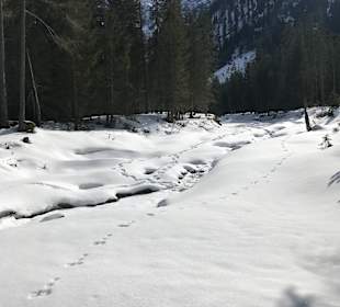 Wandern Pertisau