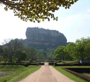 Blick auf den Felsen