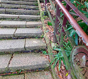 Elephant Mountain Xiangshan Hiking Trail 