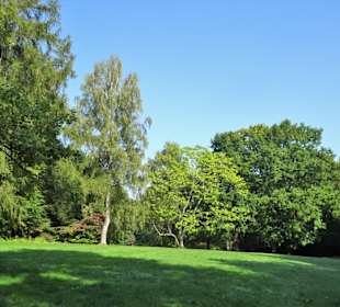 Rundgang durch den Park Forstbaumschule