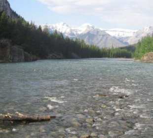 Am Bow River: Blick gegen Osten