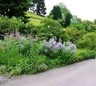 Sehr schön angelegt