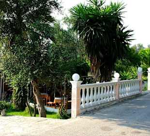Restaurant Dora - Außen