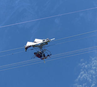 Machen schon viel Lärm..