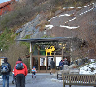 Freilichtmuseum Skansen