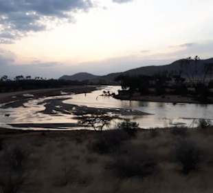 Abendstimmung am Ewaso Nyiro River