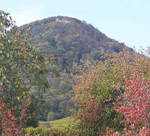 Rhodt unter Rietburg