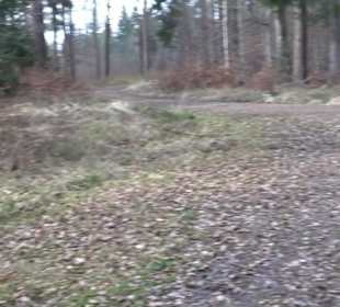 Rundwanderung durch den Rauhen Rammert Hemmendorf