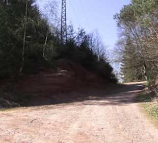 Teufelstisch Hinterweidenthal