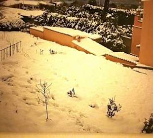 Bilder vom Winter im Gebiet