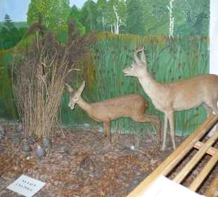 Muzeum na Świętym Krzyżu