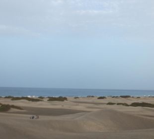 Blick über die Dünen