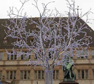 Zauberbaum